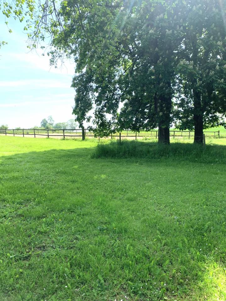 Hippisch vastgoed Koop Sarthe