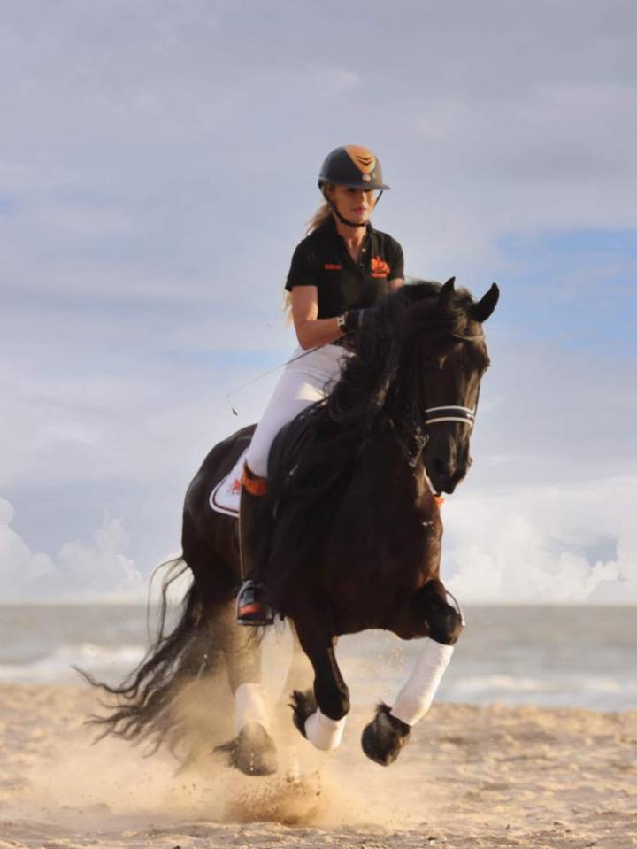 Draagmerrie Fries Te koop 2014 Zwart ,  BEART 411