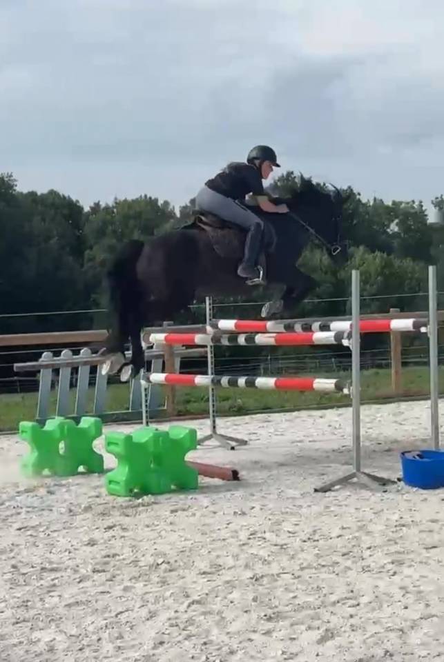 Ruin Connemara Te leen 2014 Overige kleuren