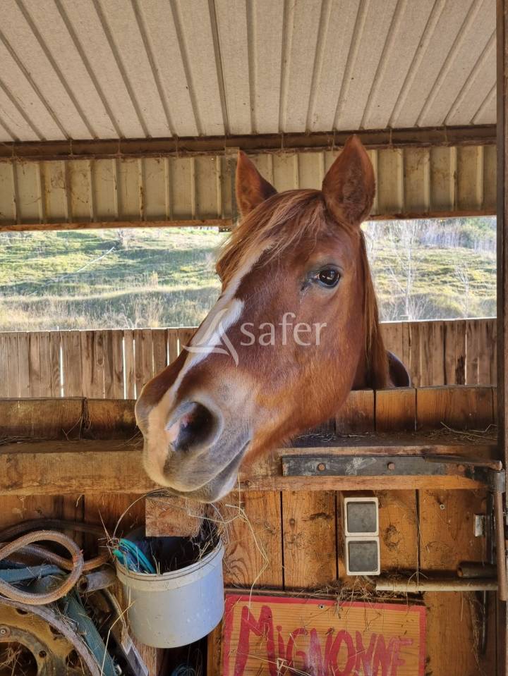 Ander plattelands vastgoed Koop Aude