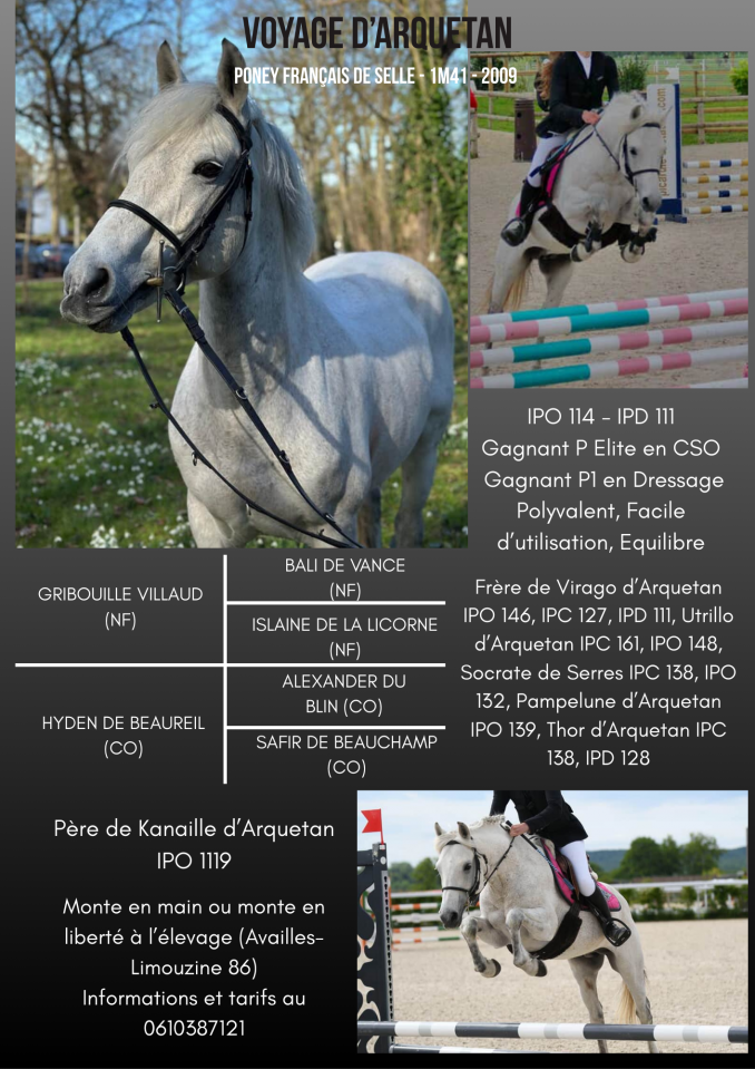 Voyage d'Arquetan - Franse rijpony PFS 2009 ,  Gribouille Villaud