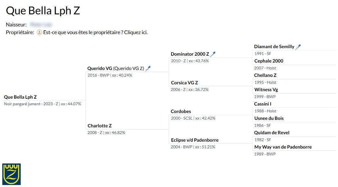 Merrie Zangersheide Te koop 2023 Zwart ,  Querido VG Z