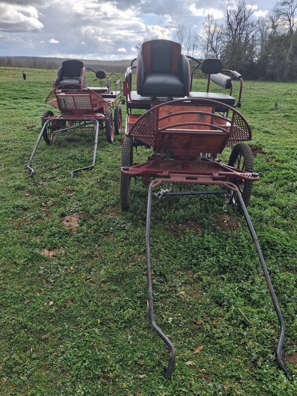 Rijtuigen - Wagonnette - Ander merk -  