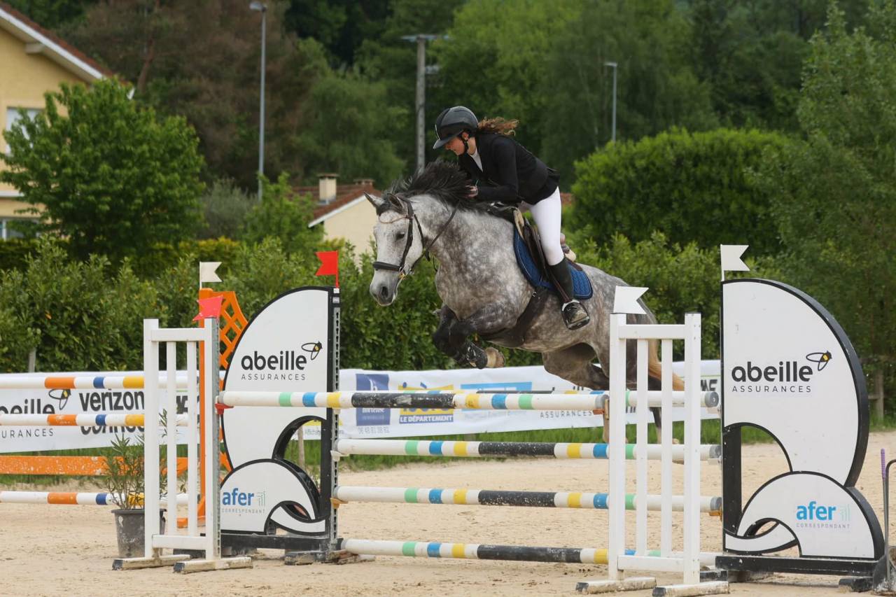 Merrie Franse rijpony PFS Te koop 2016 Schimmel ,  MOVIE STAR TILIA