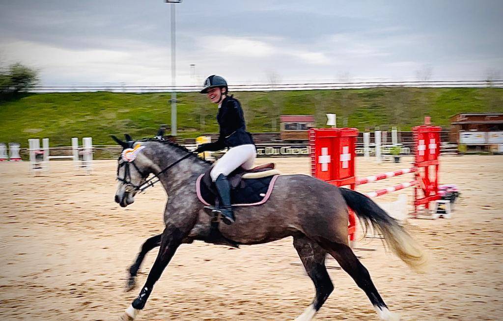 Merrie Franse rijpony PFS Te koop 2016 Schimmel ,  MOVIE STAR TILIA