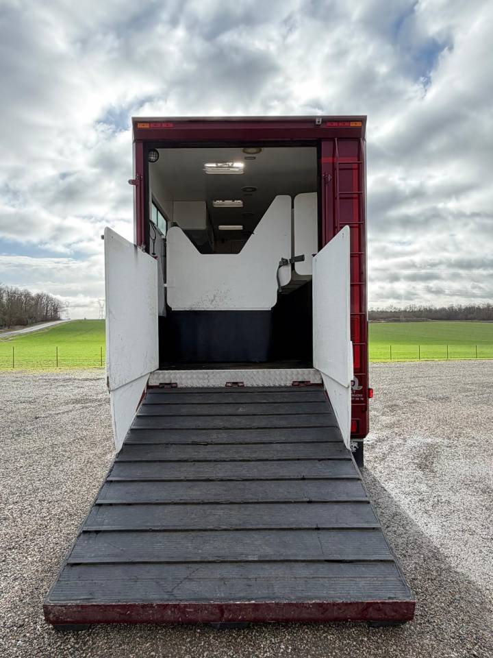 Zware paardenvrachtwagen (groot rijbewijs) Volvo Paillard 2017 Tweedehands