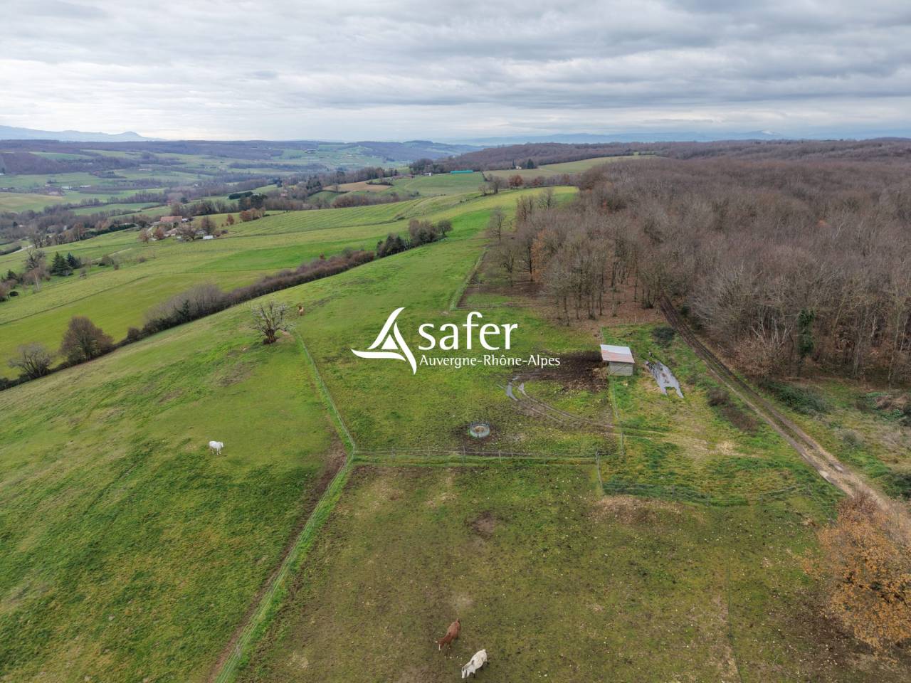 Hippisch vastgoed Koop Dr&ocirc;me