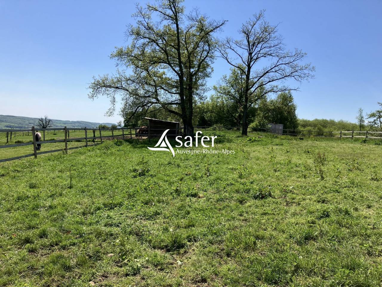 Hippisch vastgoed Koop Dr&ocirc;me