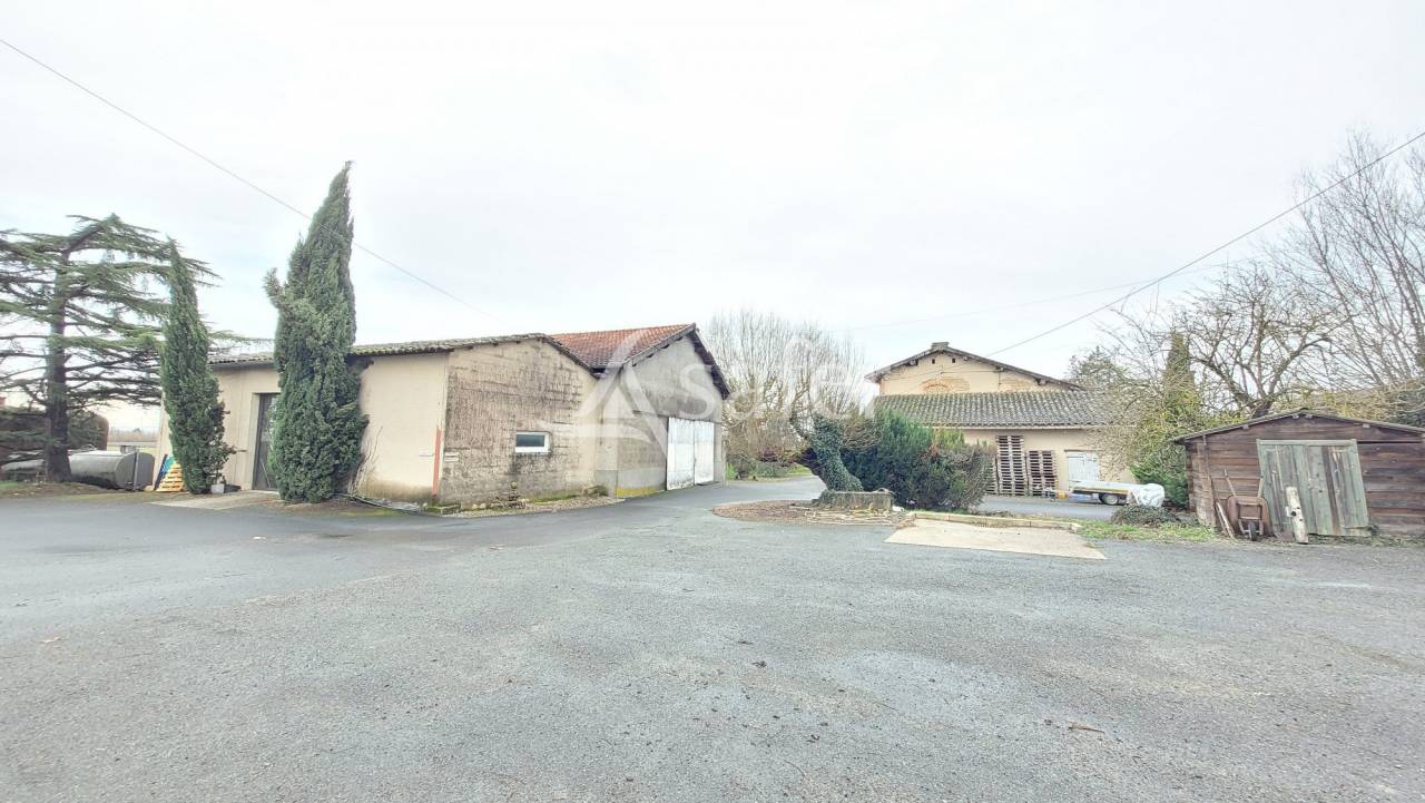 Graan exploitatie Koop tarn