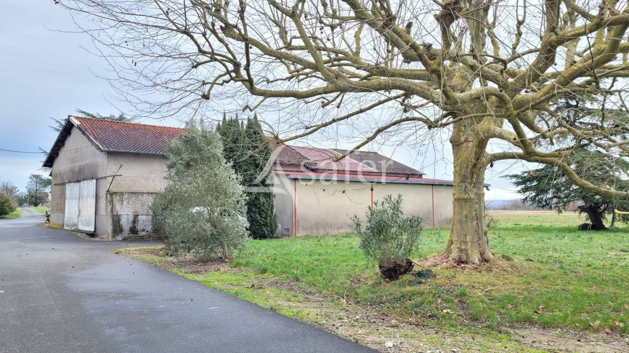 Graan exploitatie Koop tarn