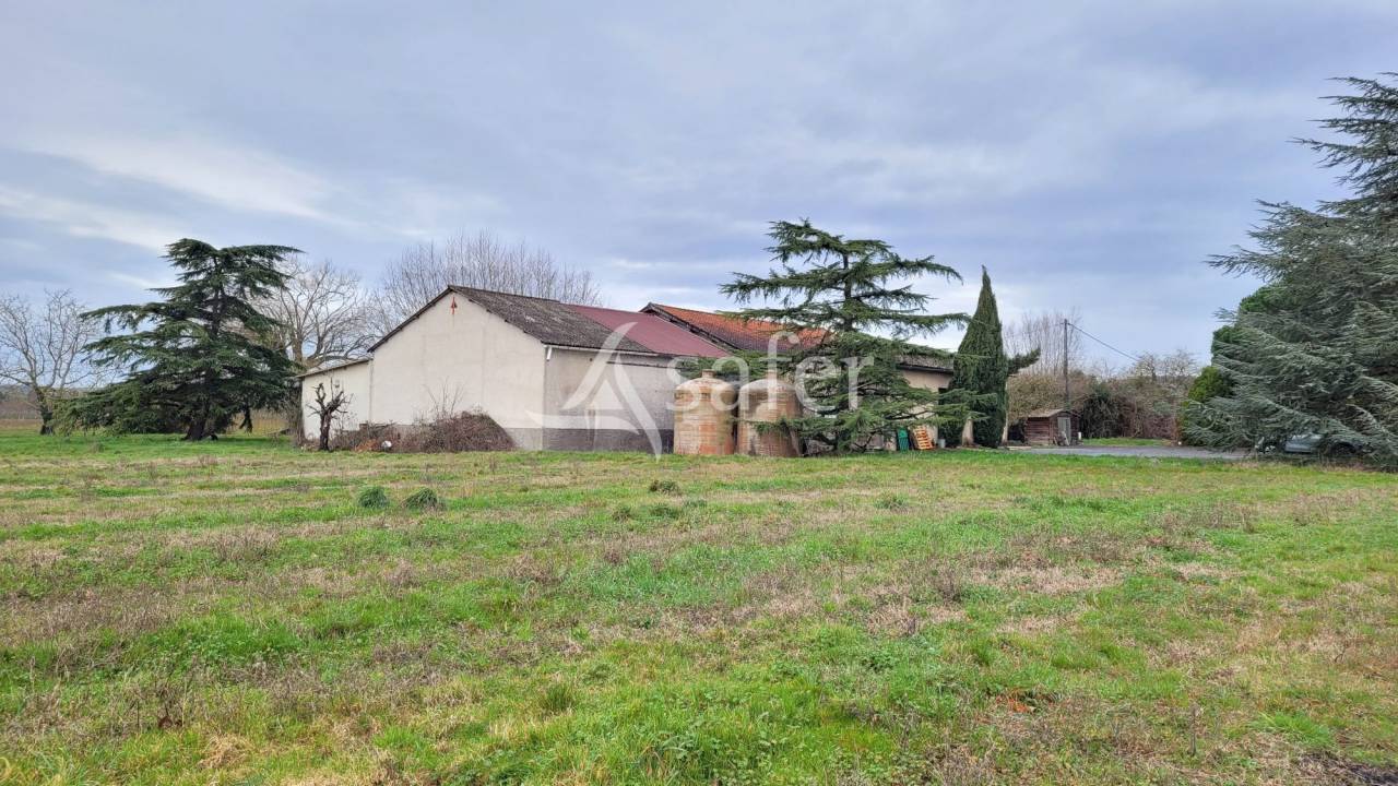 Graan exploitatie Koop tarn