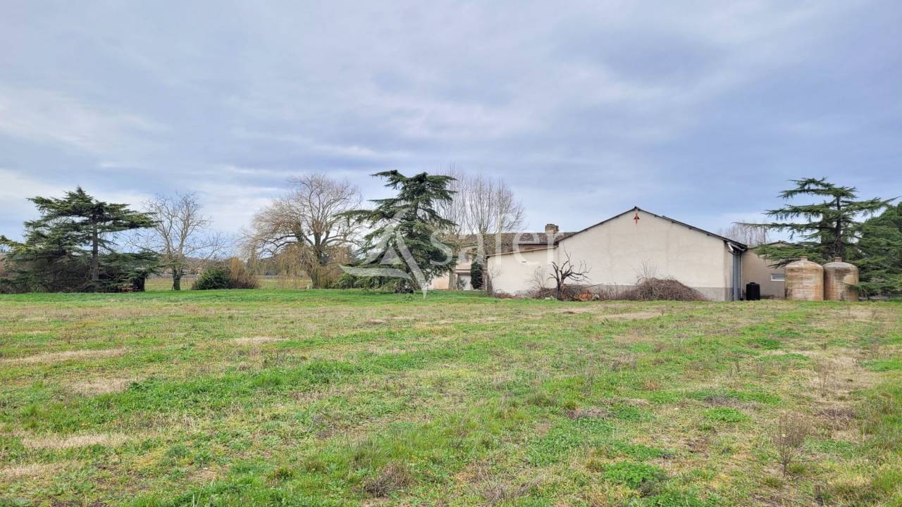 Graan exploitatie Koop tarn