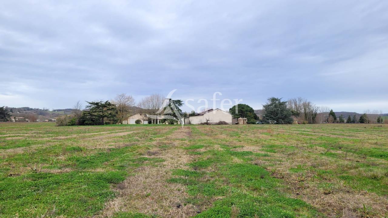 Graan exploitatie Koop tarn