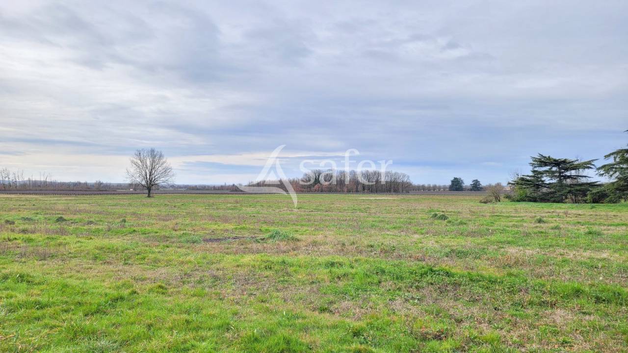 Graan exploitatie Koop tarn