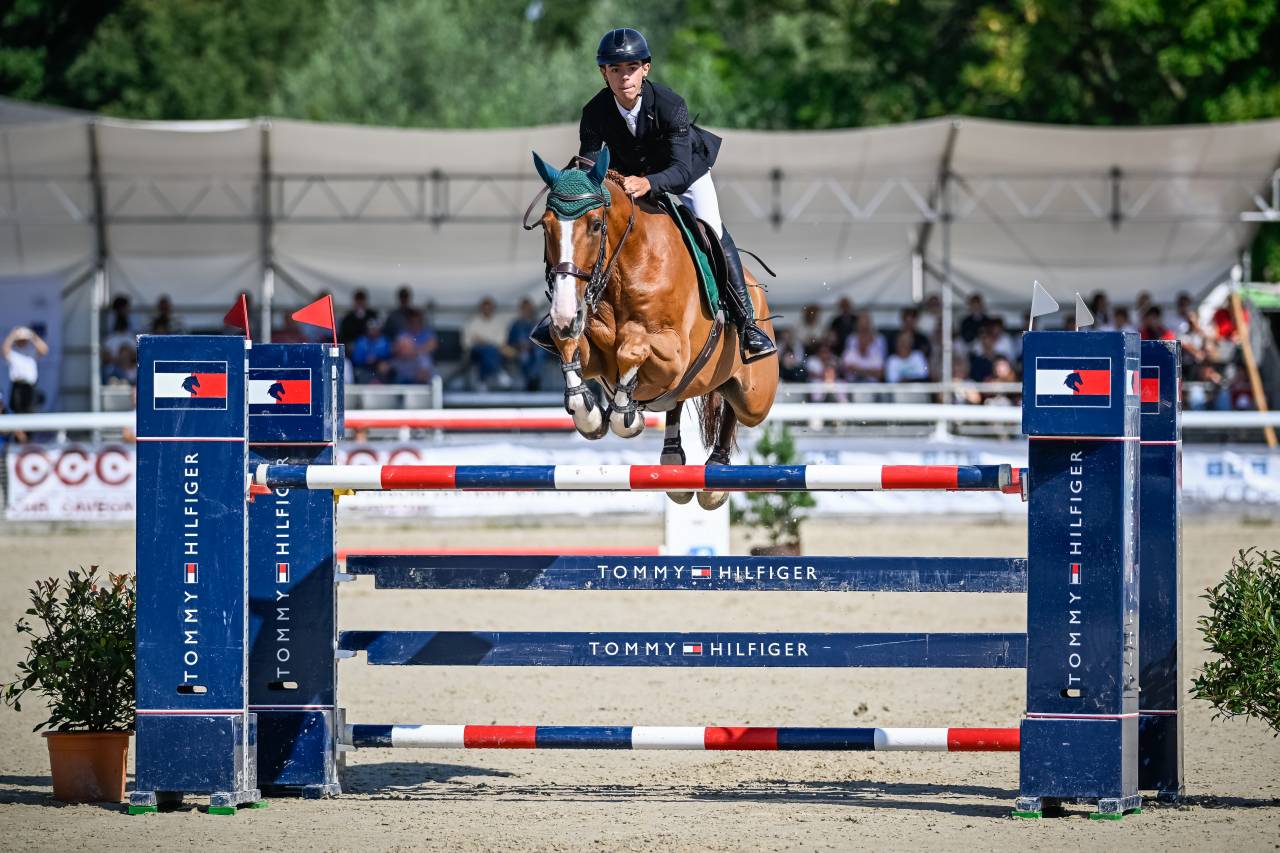 Ruin Selle Fran&ccedil;ais Te koop 2016 Vos ,  EPSOM GESMERAY