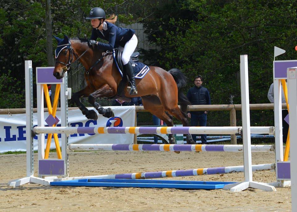 Ruin Bekend ras Te leen 2010 Donker bruin / bai ,  outsider