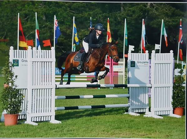 Ruin Bekend ras Te leen 2010 Donker bruin / bai ,  outsider