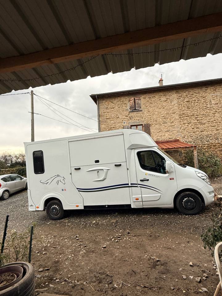 Kleine paardenvrachtwagen (B rijbewijs) Ameline HARAS 3 PLACES RENAULT MASTER 2016 Tweedehands