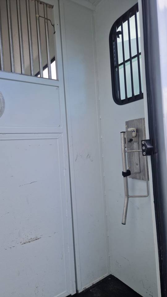 Kleine paardenvrachtwagen (B rijbewijs) Theault peugeot  master 2013 Tweedehands