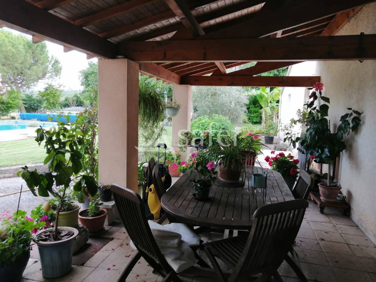 Hippisch vastgoed Koop Charente