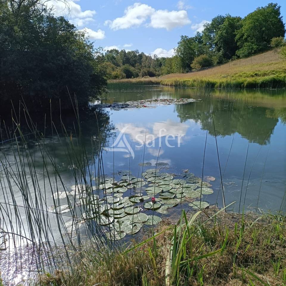 Hippisch vastgoed Koop Charente