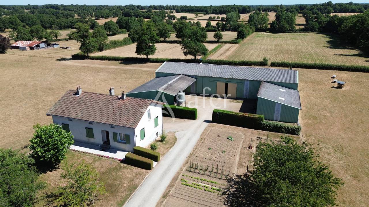 Schapen exploitatie Koop Charente