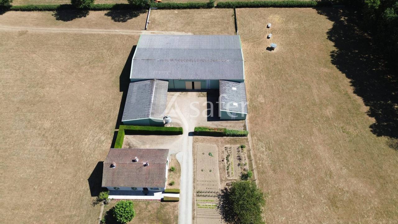 Schapen exploitatie Koop Charente