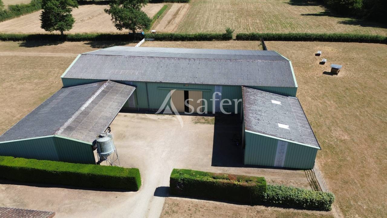 Schapen exploitatie Koop Charente