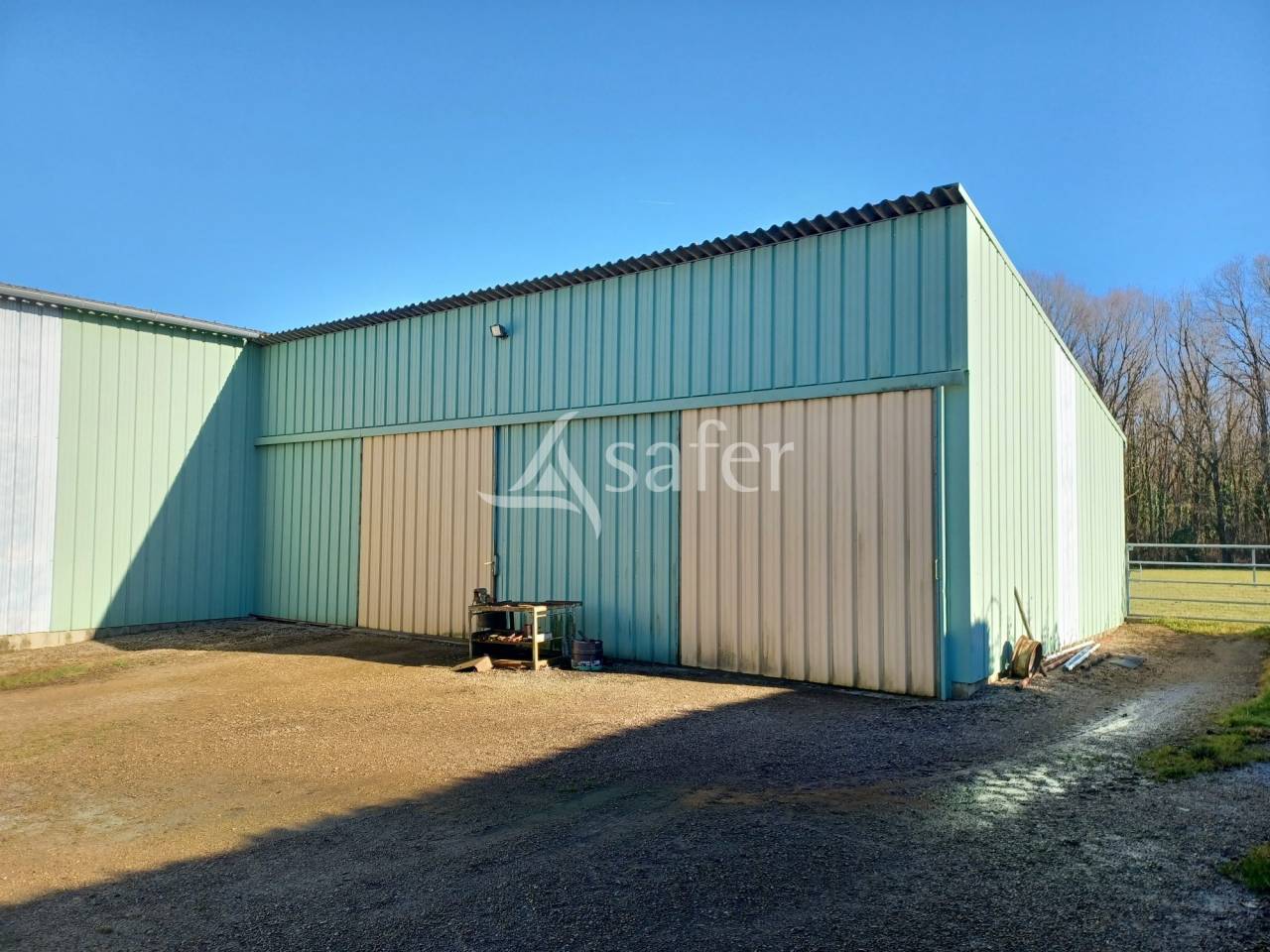 Schapen exploitatie Koop Charente