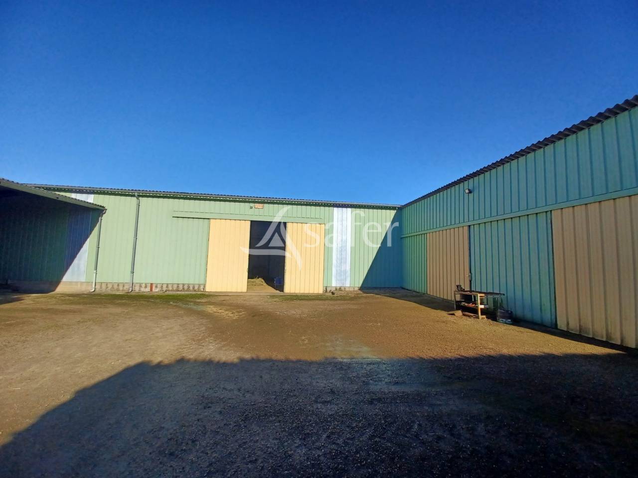 Schapen exploitatie Koop Charente