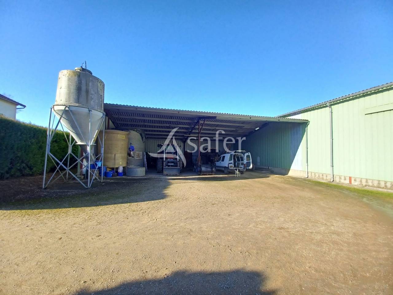 Schapen exploitatie Koop Charente