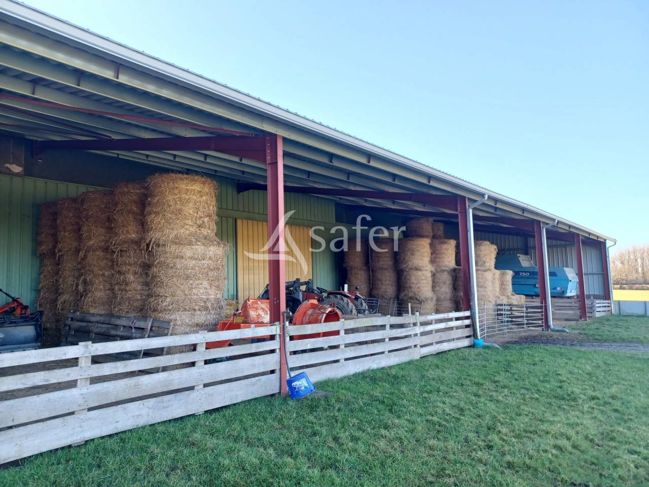 Schapen exploitatie Koop Charente