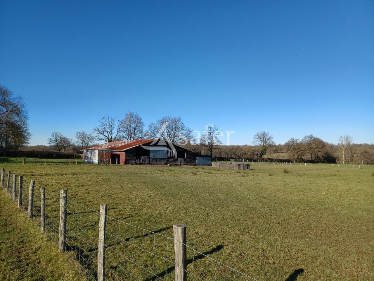 Schapen exploitatie Koop Charente