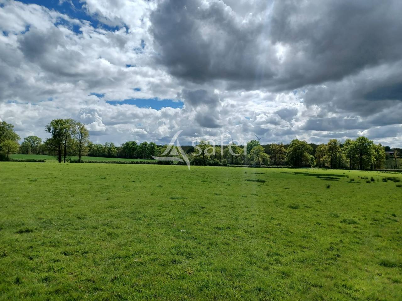 Schapen exploitatie Koop Charente