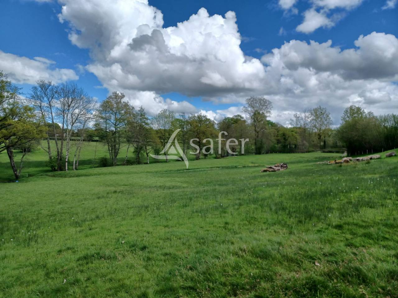 Schapen exploitatie Koop Charente