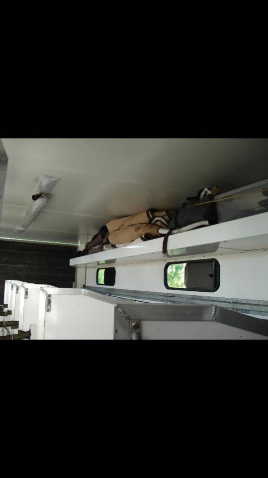 Zware paardenvrachtwagen (groot rijbewijs) Renault Premium 1999 Tweedehands