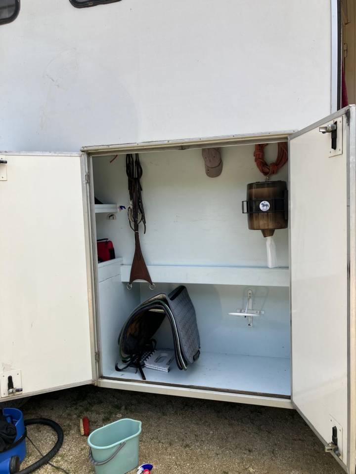 Zware paardenvrachtwagen (groot rijbewijs) Renault Premium 1999 Tweedehands