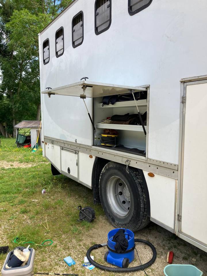 Zware paardenvrachtwagen (groot rijbewijs) Renault Premium 1999 Tweedehands