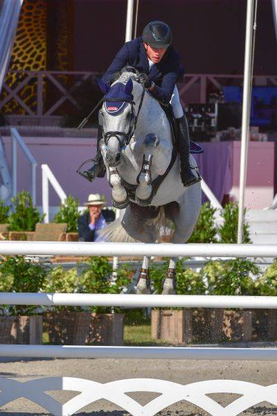 Veulen (vr) Zangersheide Te koop 2025 Schimmel