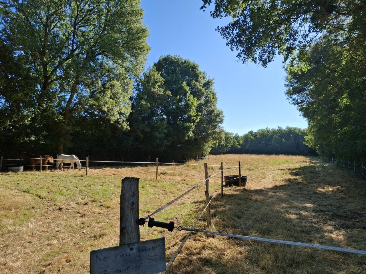 Hippisch vastgoed Koop Charente-Maritime