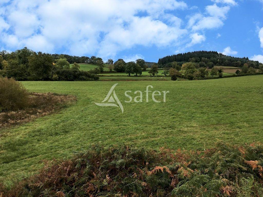 Landbouw bedrijf Koop Creuse