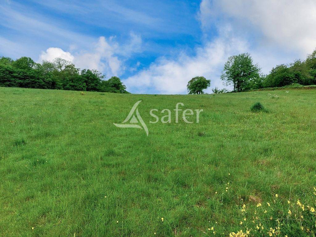 Landbouw bedrijf Koop Creuse