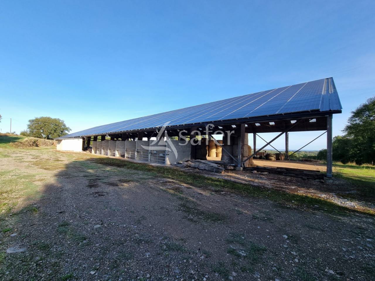 Landbouw bedrijf Koop Lot