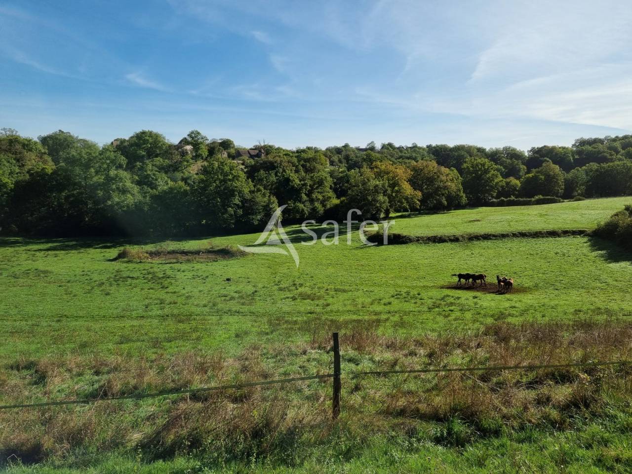Landbouw bedrijf Koop Lot