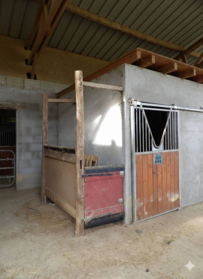 Stoeterij Koop Pyr&eacute;n&eacute;es-Atlantiques