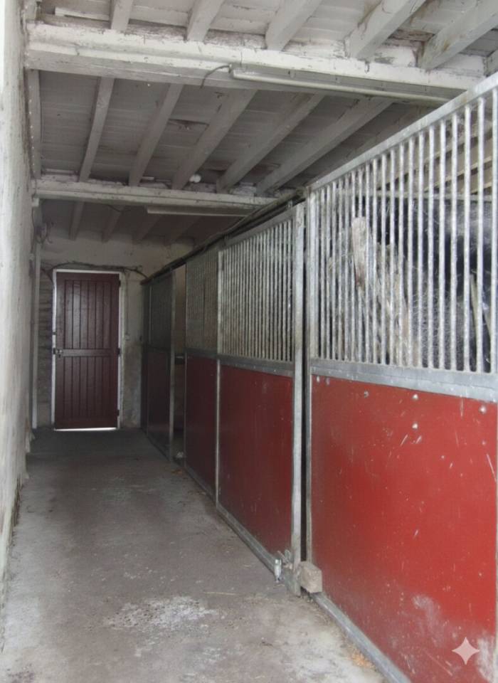 Stoeterij Koop Pyr&eacute;n&eacute;es-Atlantiques