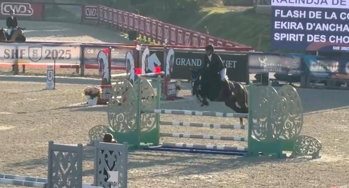 Merrie Bekend ras Te koop 2020 Zwart