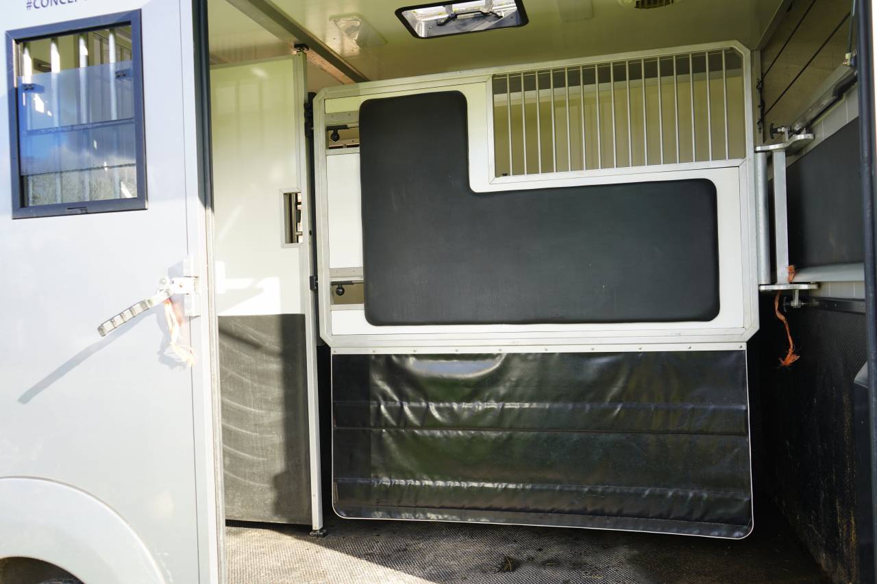 Kleine paardenvrachtwagen (B rijbewijs) Opel STX movano 2024 Tweedehands