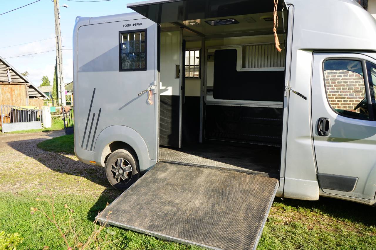 Kleine paardenvrachtwagen (B rijbewijs) Opel STX movano 2024 Tweedehands