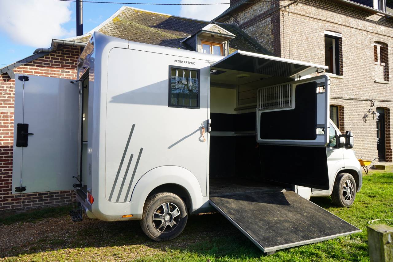 Kleine paardenvrachtwagen (B rijbewijs) Opel STX movano 2024 Tweedehands